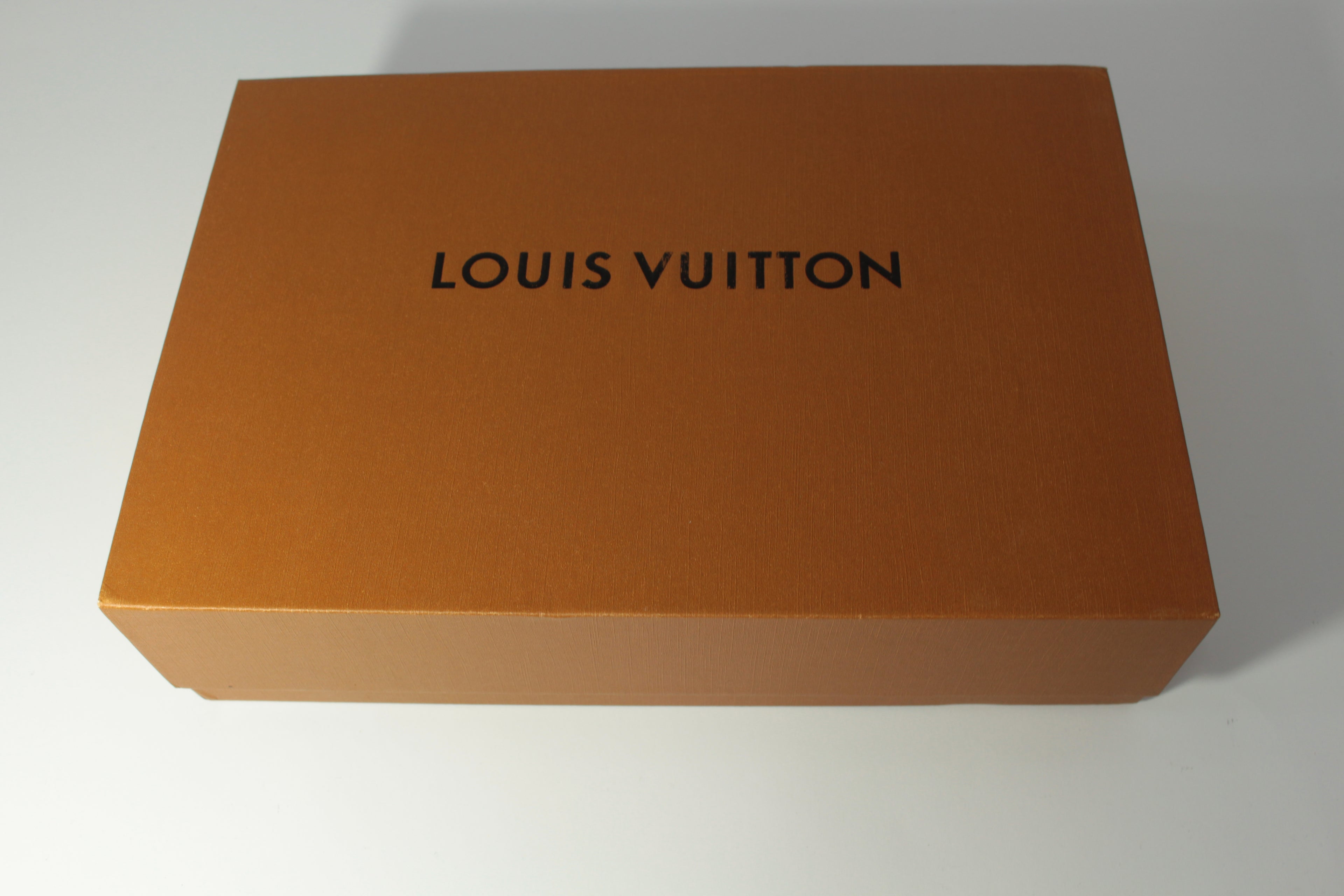 Louis Vuitton Duo Messenger Torbica